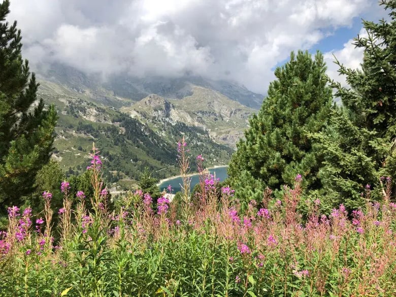 Paysage de montagne