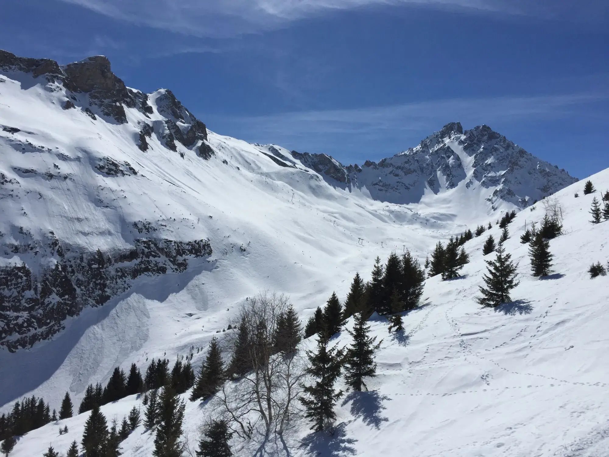 Paysage de Montagne des Alpes