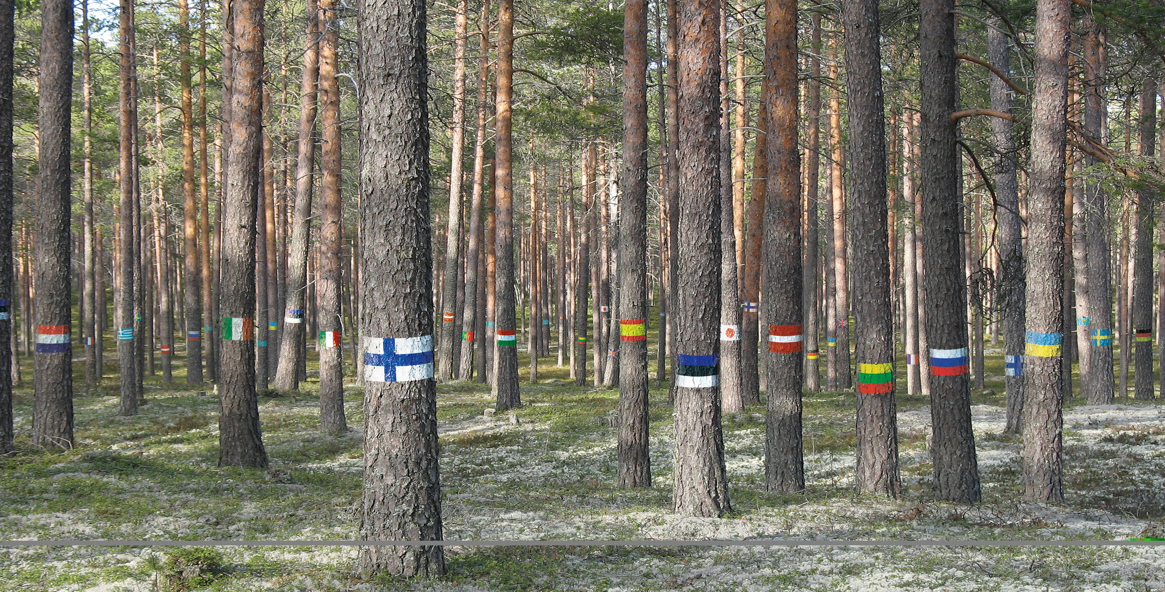 Kontio_Kansainvalisyys