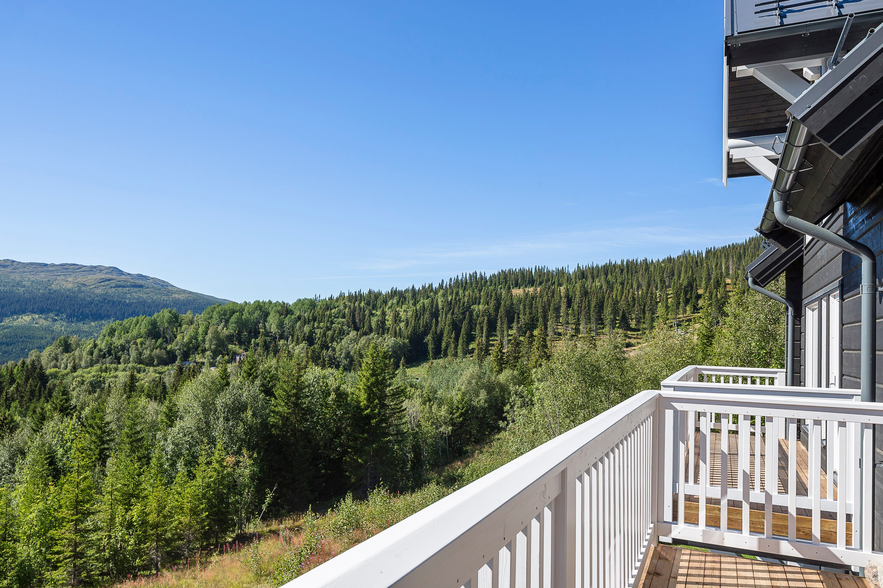 sadelvagen_highres_h-13