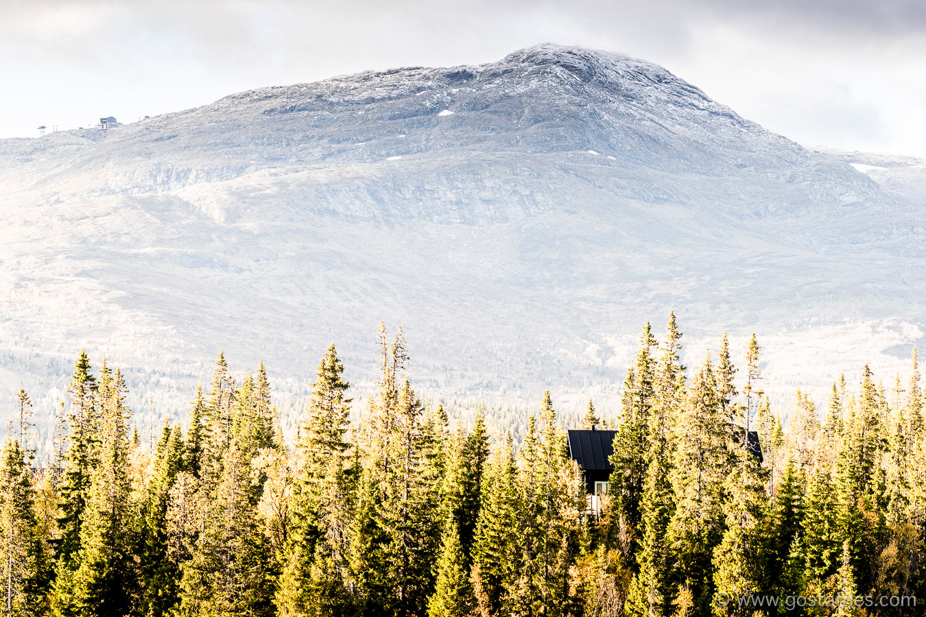 20151006_gostafries_DSC0304