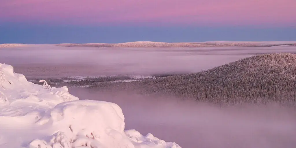 Paysage scandinave sur les forêts